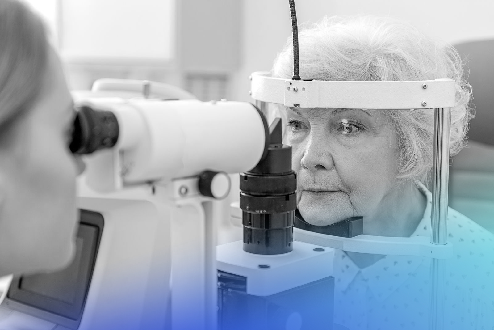 degeneración macular